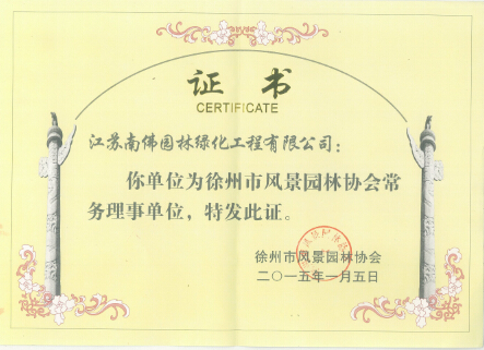 荣誉证书
